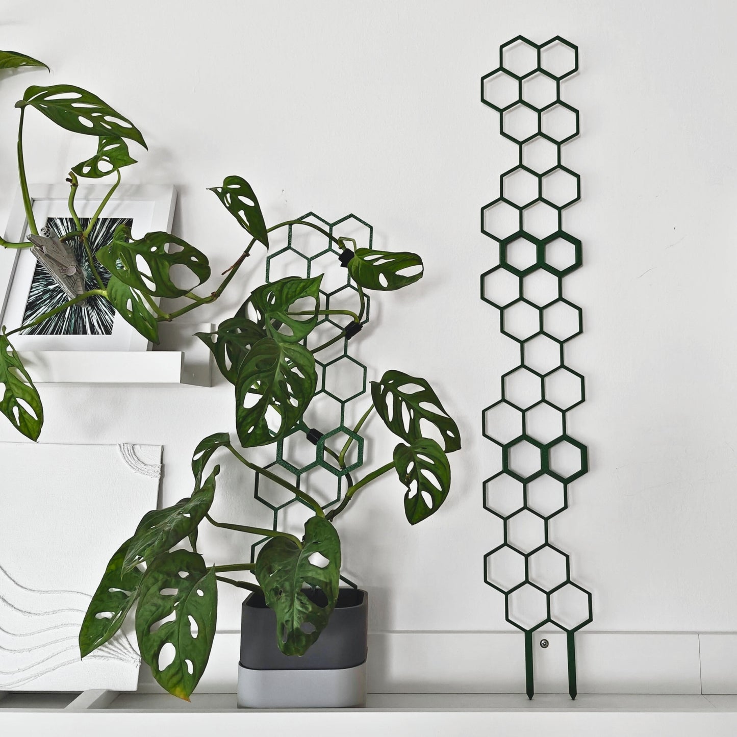 Extra Tall Extendable Trellis - Hponeycomb