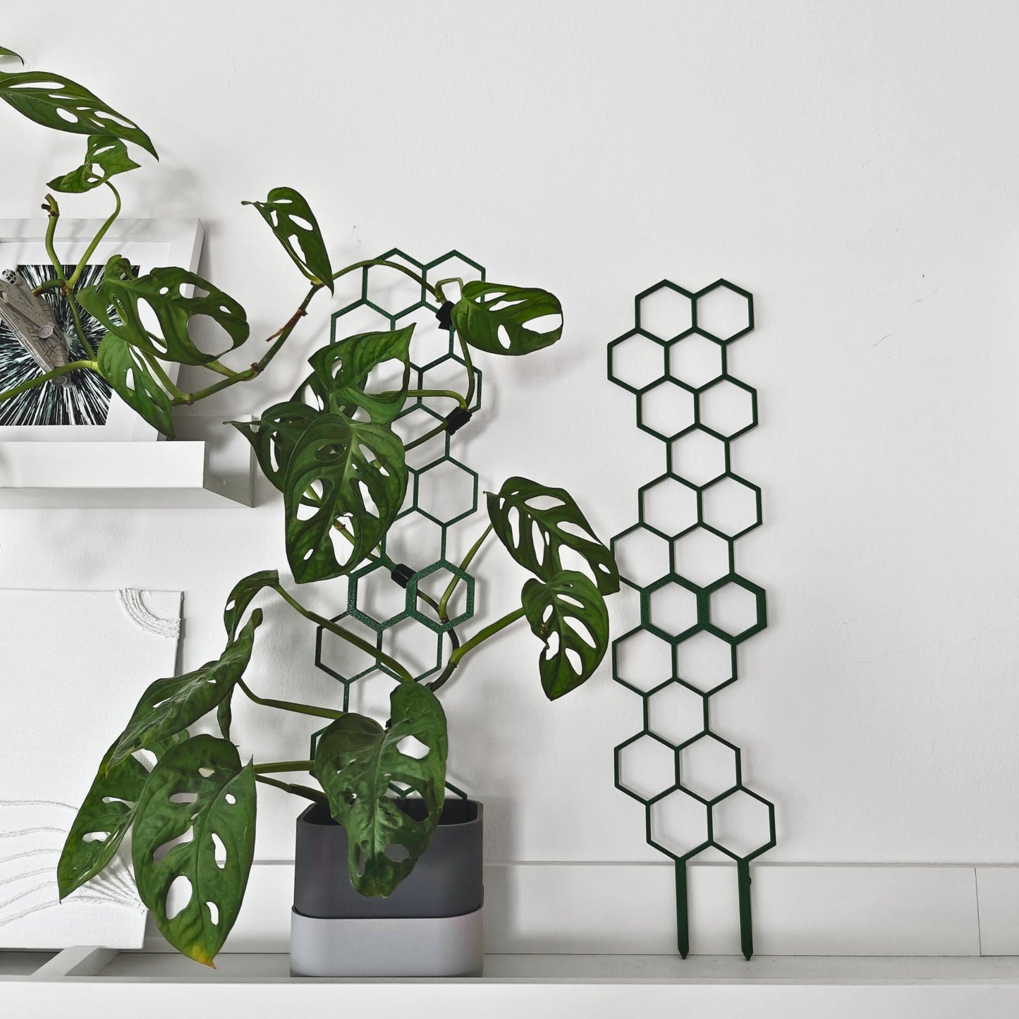Extra Tall Extendable Trellis - Hponeycomb