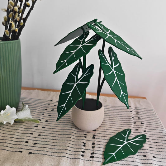 Alocasia Frydek Coaster Set