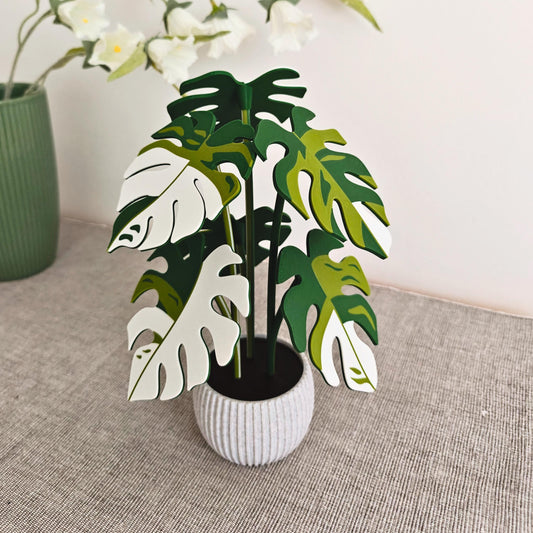Monstera Coaster Set