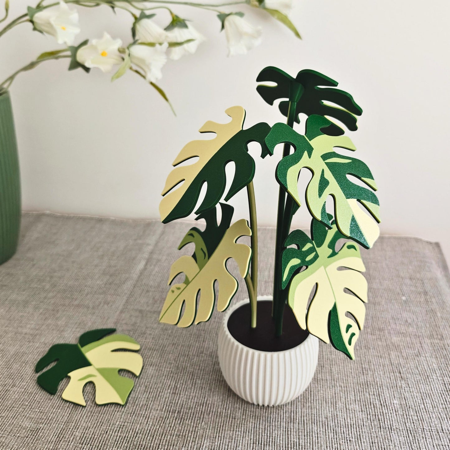 Monstera Coaster Set