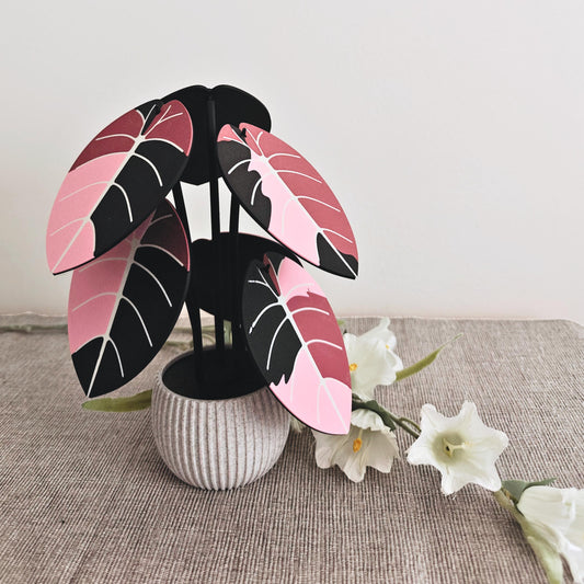 Jewel Alocasia Coaster Set, Variegated Black Velvet and Melo