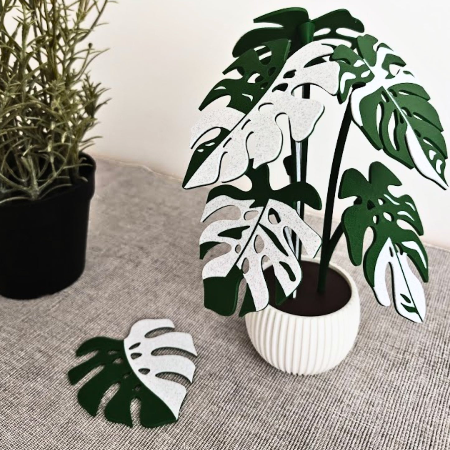 Monstera Zweifarbiges Untersetzer-Set