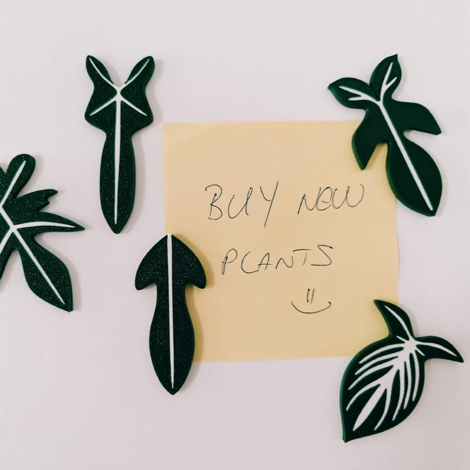 Leaf Fridge Magnets, Set of 5