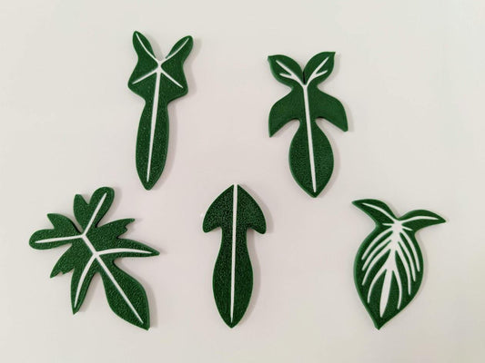 Philodendron Fridge Magnet Set of 5 - Home Decor Fridge Magnet Gift for Plant Lovers, Plant Gift, 3D printed Magnet Fridge