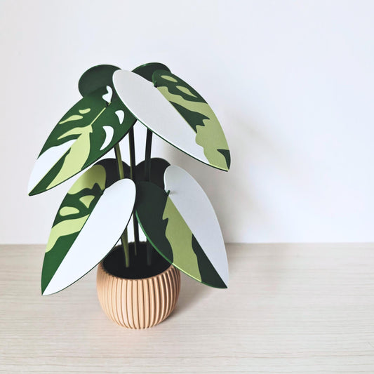 Coaster Plant Philodendron Pink Princess or White Princess, Coaster Set, Leaf Coasters, Heart shaped Coaster 3D print