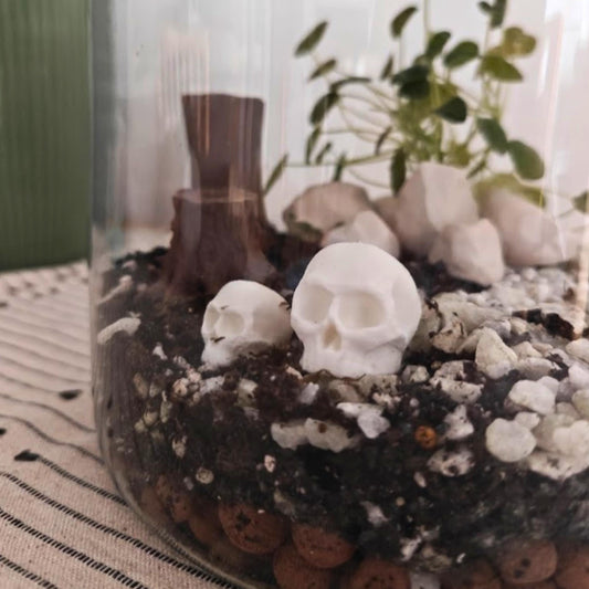 Miniature Skulls for Terrariums, 3D Printed Tiny Skulls for Dioramas and Gothic Decor