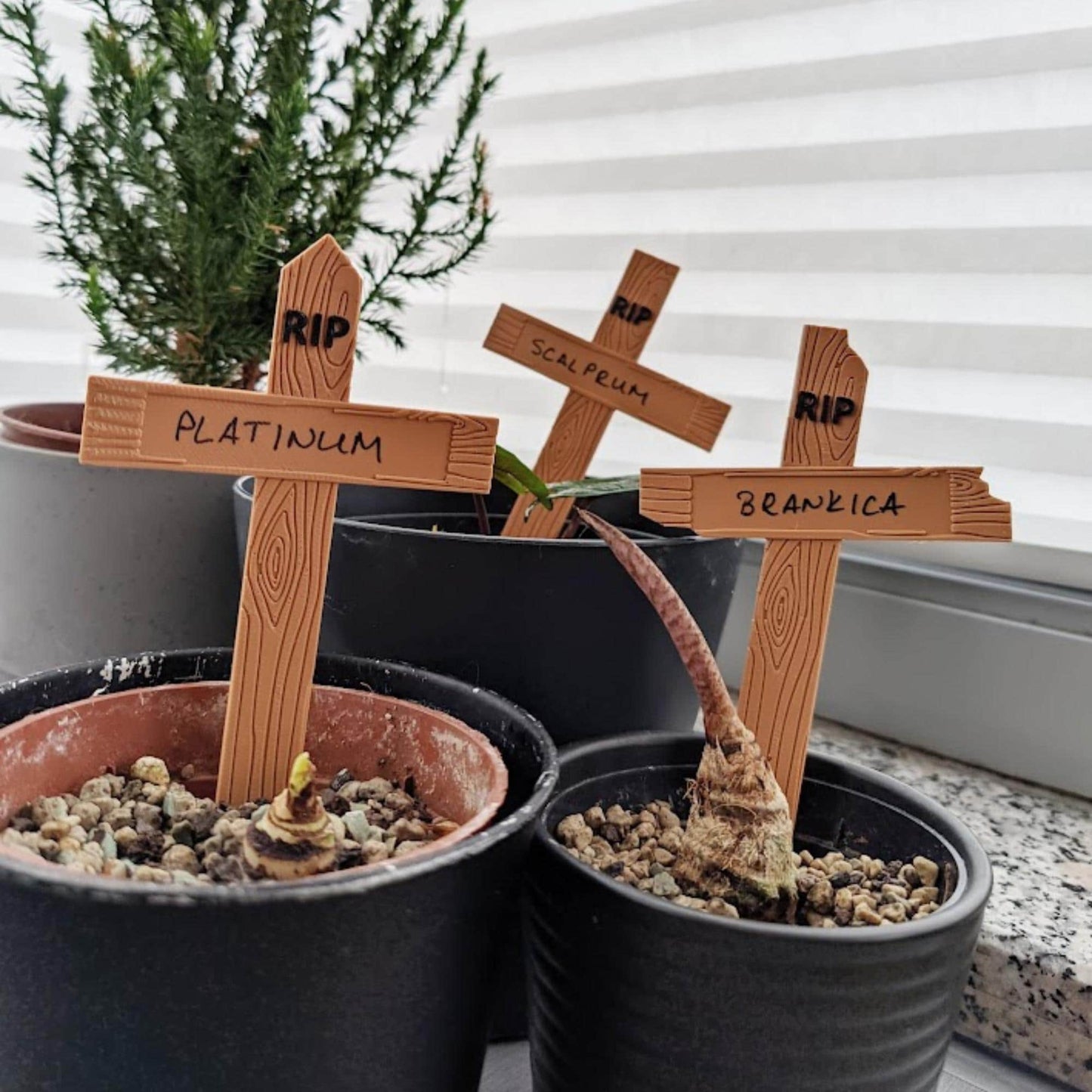 RIP Plant Markers, Set of 3 Graveyard Style Labels, Funny Halloween Garden Decor, Dead Plant Signs