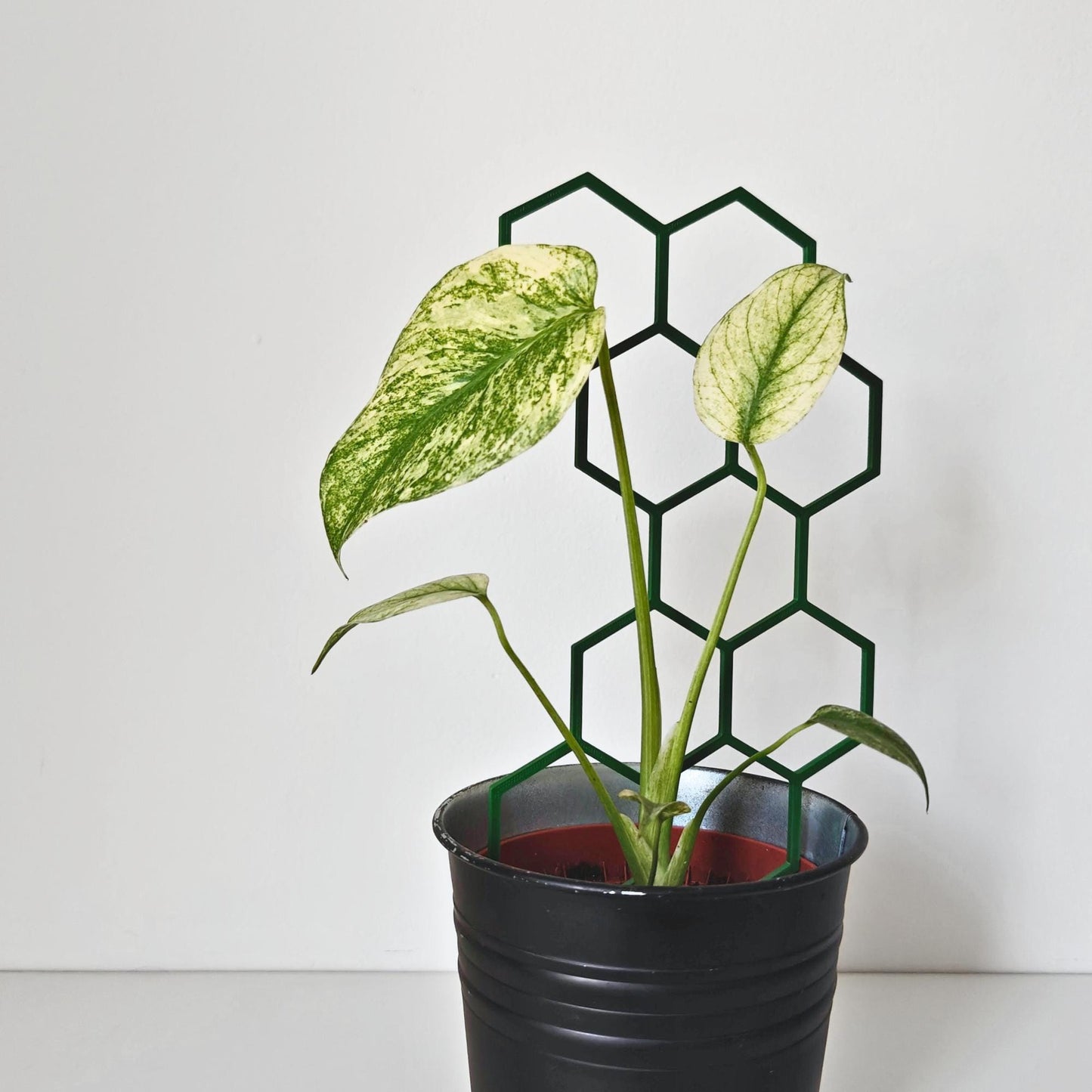 Modular Honeycomb Trellis, Extendable Plant Support for Indoor Climbing Plants, 3d Printed Plant Grid