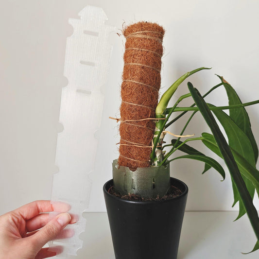 Plant Pot Extender for Anthuriums and Aroids, Stackable, Adjustable Extension for Moss or Soil, 3d print