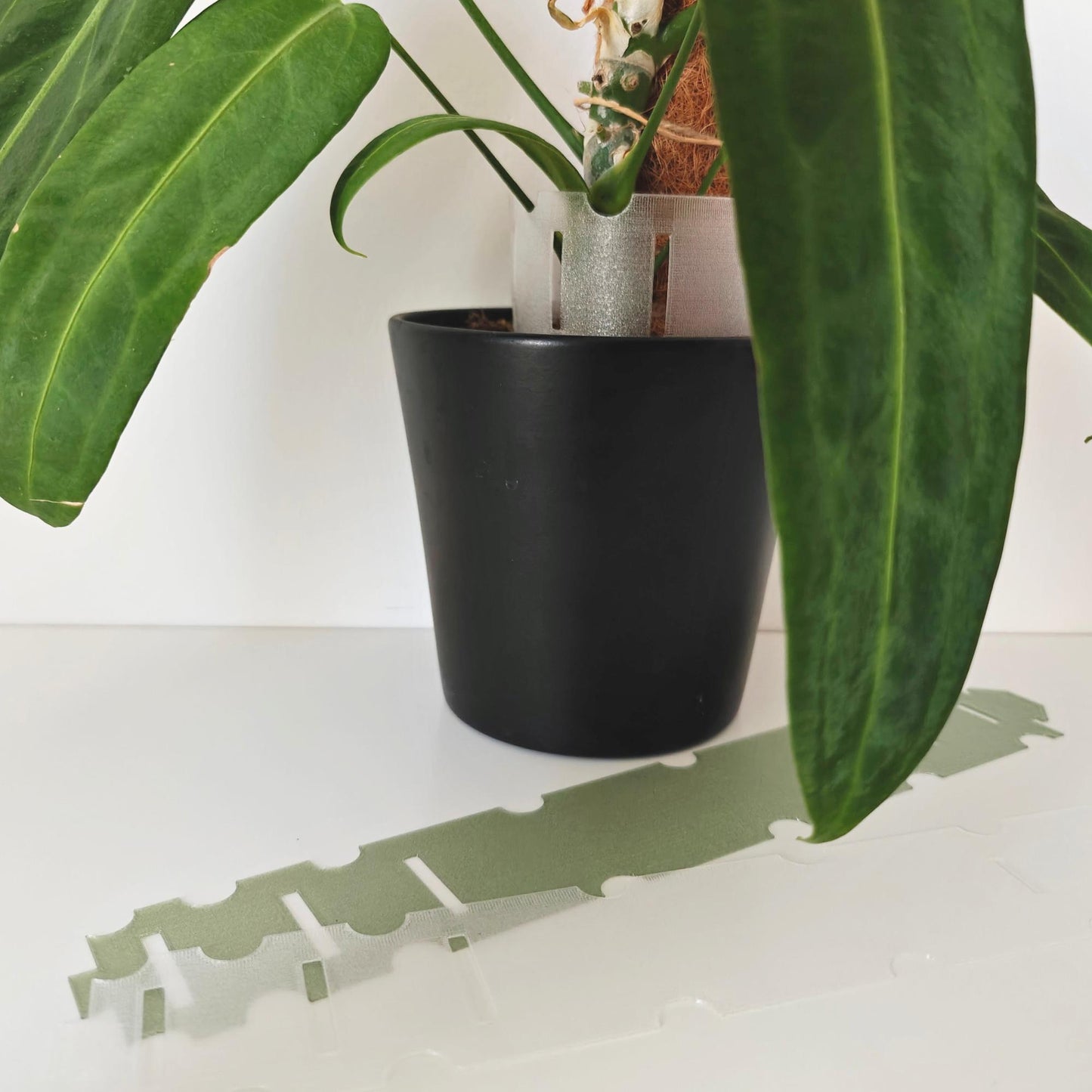 Plant Pot Extender for Anthuriums and Aroids, Stackable, Adjustable Extension for Moss or Soil, 3d print