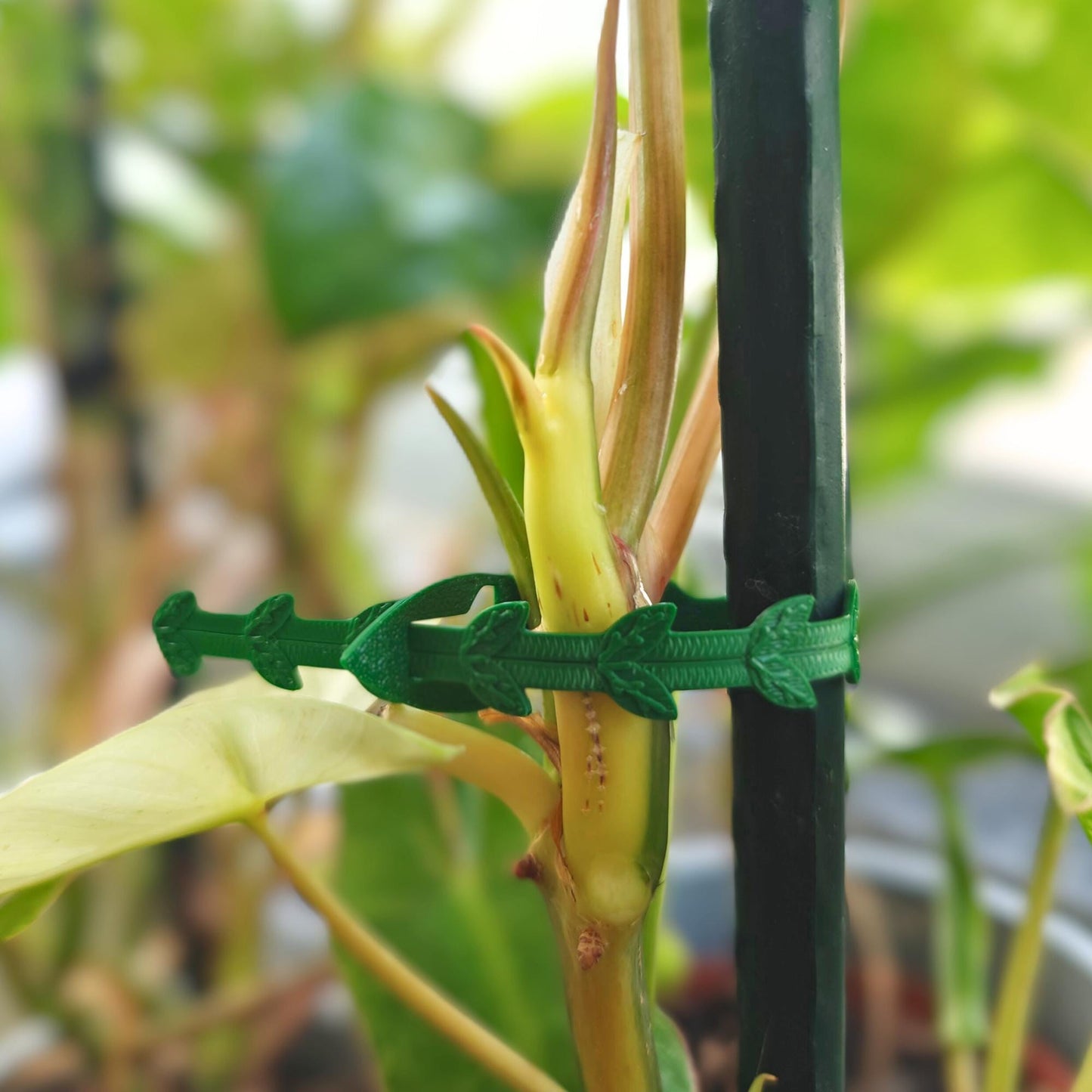 Plant Gardening Tie, Reusable Plant Cable Tie, Extendable, Adjustable Extension, 3d print
