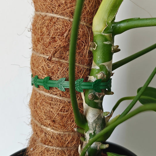 Plant Gardening Tie, Reusable Plant Cable Tie, Extendable, Adjustable Extension, 3d print