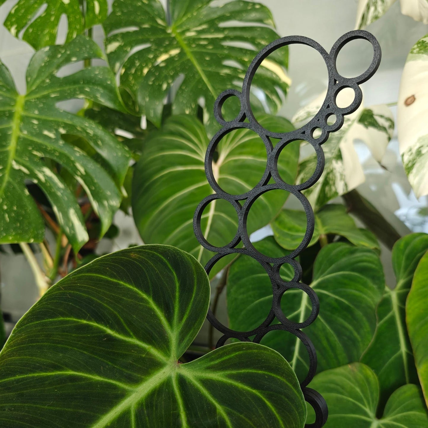 Extra Tall Extendable Trellis, Modular Circles Plant Support for Indoor Climbing Plants, 3d Printed Plant Bubble Grid