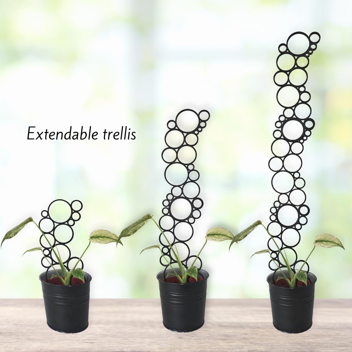 Extra Tall Extendable Trellis, Modular Circles Plant Support for Indoor Climbing Plants, 3d Printed Plant Bubble Grid