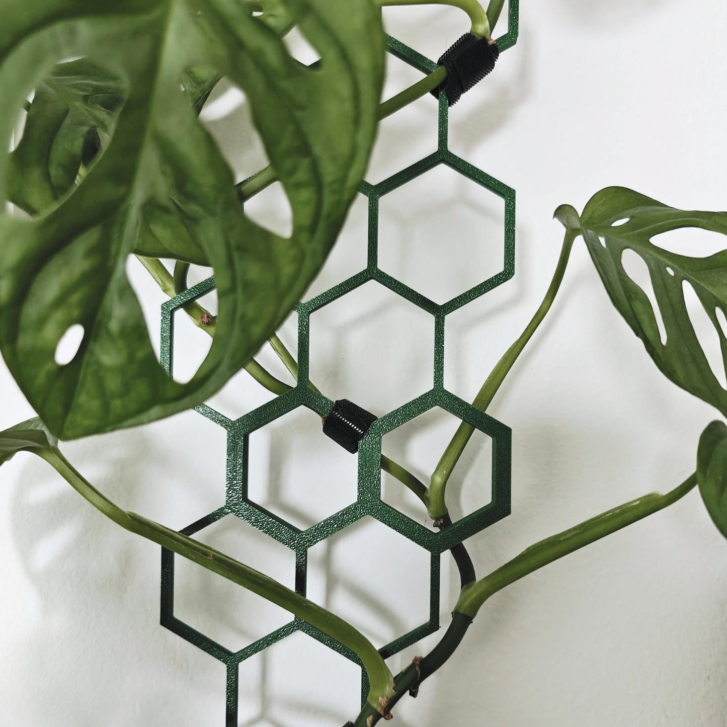 Modular Honeycomb Trellis, Extendable Plant Support for Indoor Climbing Plants, 3d Printed Plant Grid
