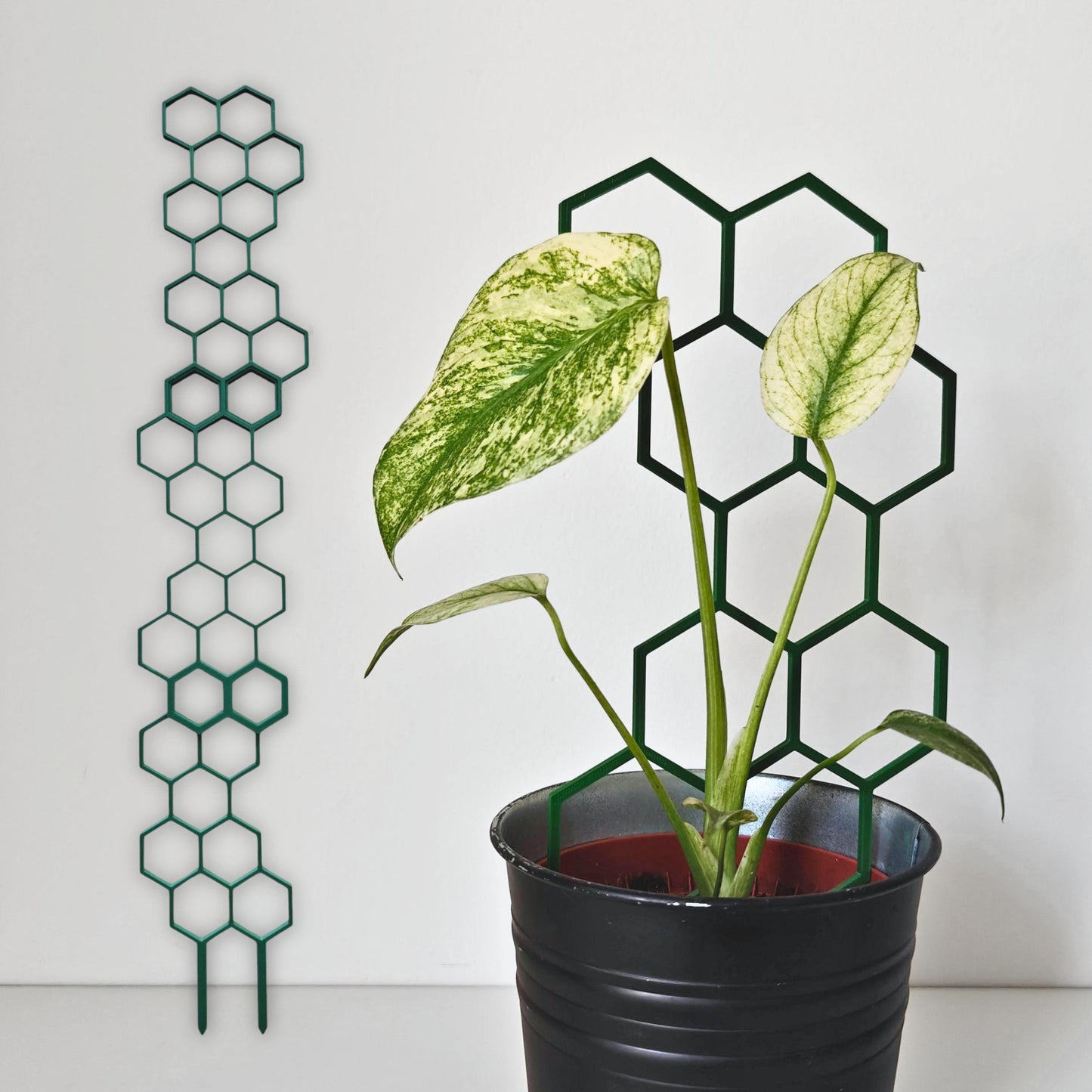Extra Tall Extendable Trellis, Modular Honeycomb Plant Support for Indoor Climbing Plants, 3d Printed Plant Grid