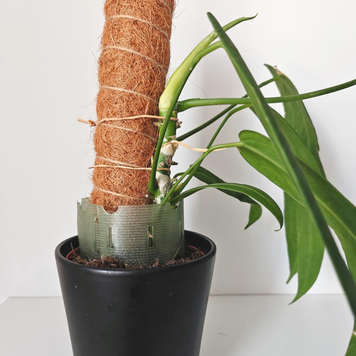 Plant Pot Extender for Anthuriums and Aroids, Stackable, Adjustable Extension for Moss or Soil, 3d print