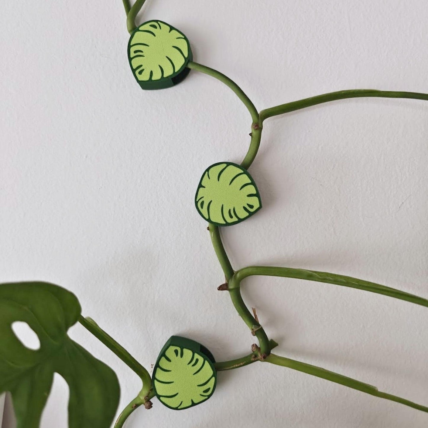 Wall Plant Clips, Monstera Leaf Decorative Vine Holders, Wall Hooks, Climbing Plant Supports, Clips for Plant Care, 3d print