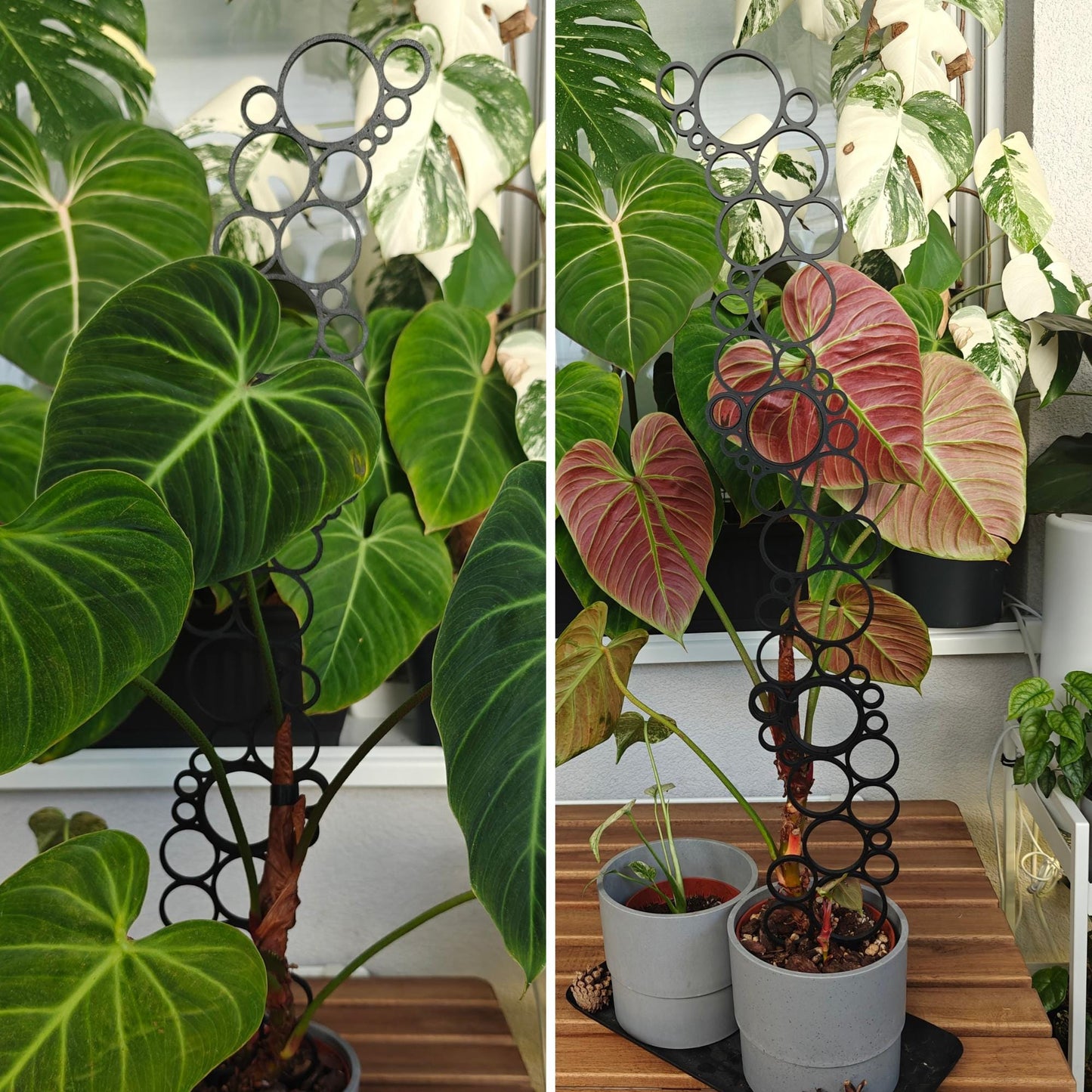 Extra Tall Extendable Trellis, Modular Circles Plant Support for Indoor Climbing Plants, 3d Printed Plant Bubble Grid