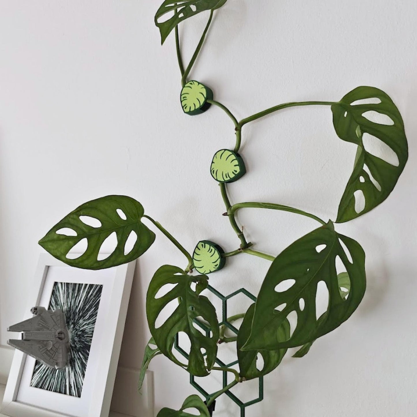 Wall Plant Clips, Monstera Leaf Decorative Vine Holders, Wall Hooks, Climbing Plant Supports, Clips for Plant Care, 3d print