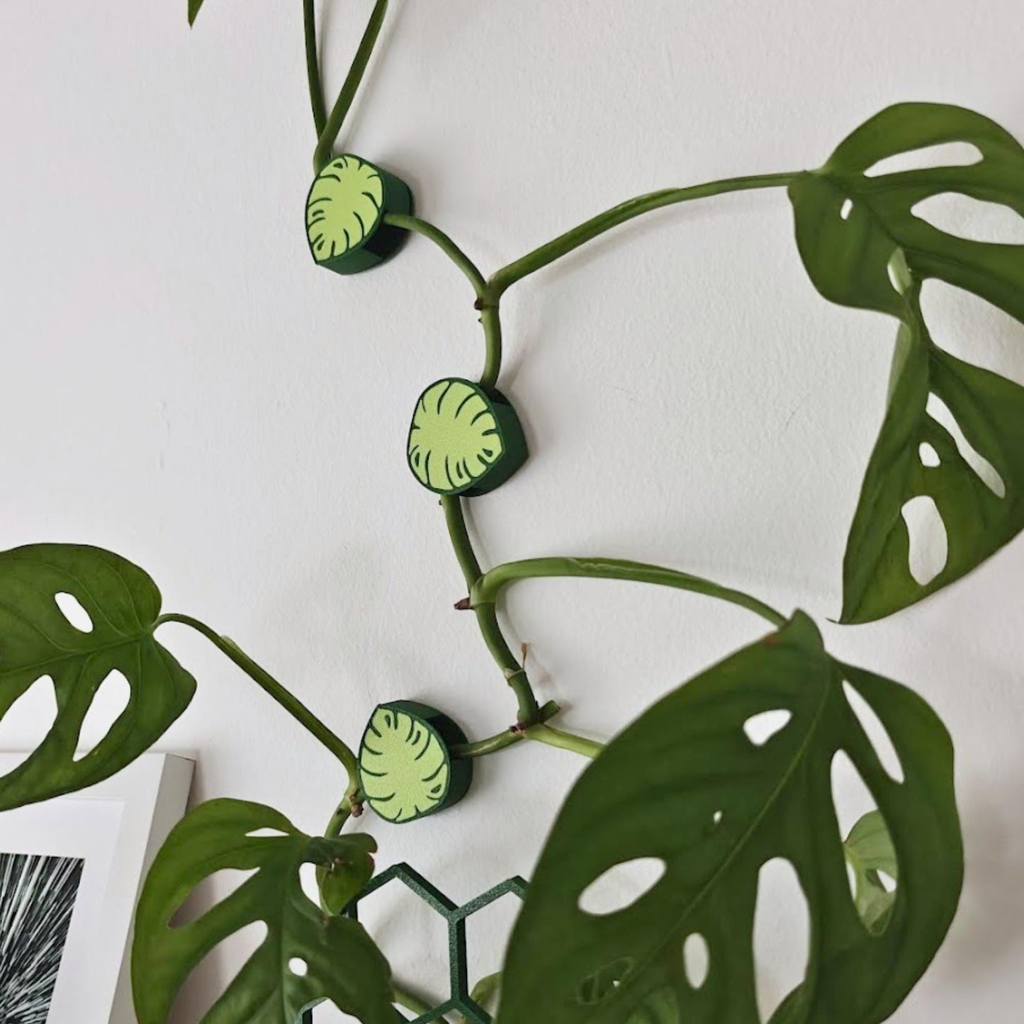 Wall Plant Clips, Monstera Leaf Decorative Vine Holders, Wall Hooks, Climbing Plant Supports, Clips for Plant Care, 3d print