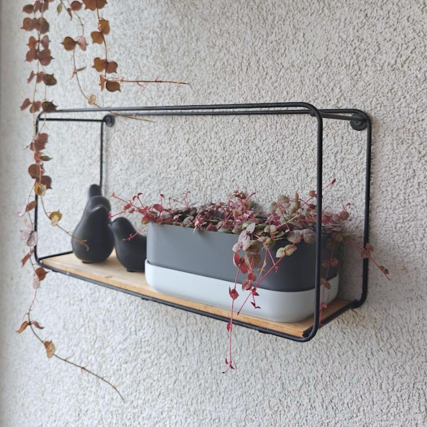 Low Narrow Pot for Succulents or Crawling Plants, Minimalistic Modern Rectangular Pot for Small Shelves, 3d print