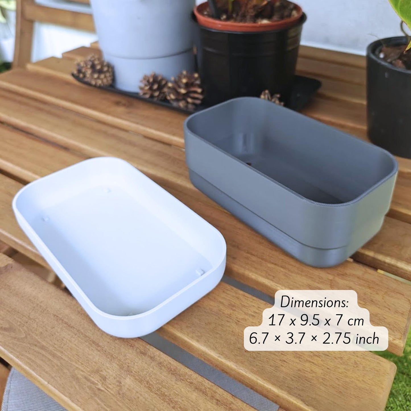 Low Narrow Pot for Succulents or Crawling Plants, Minimalistic Modern Rectangular Pot for Small Shelves, 3d print