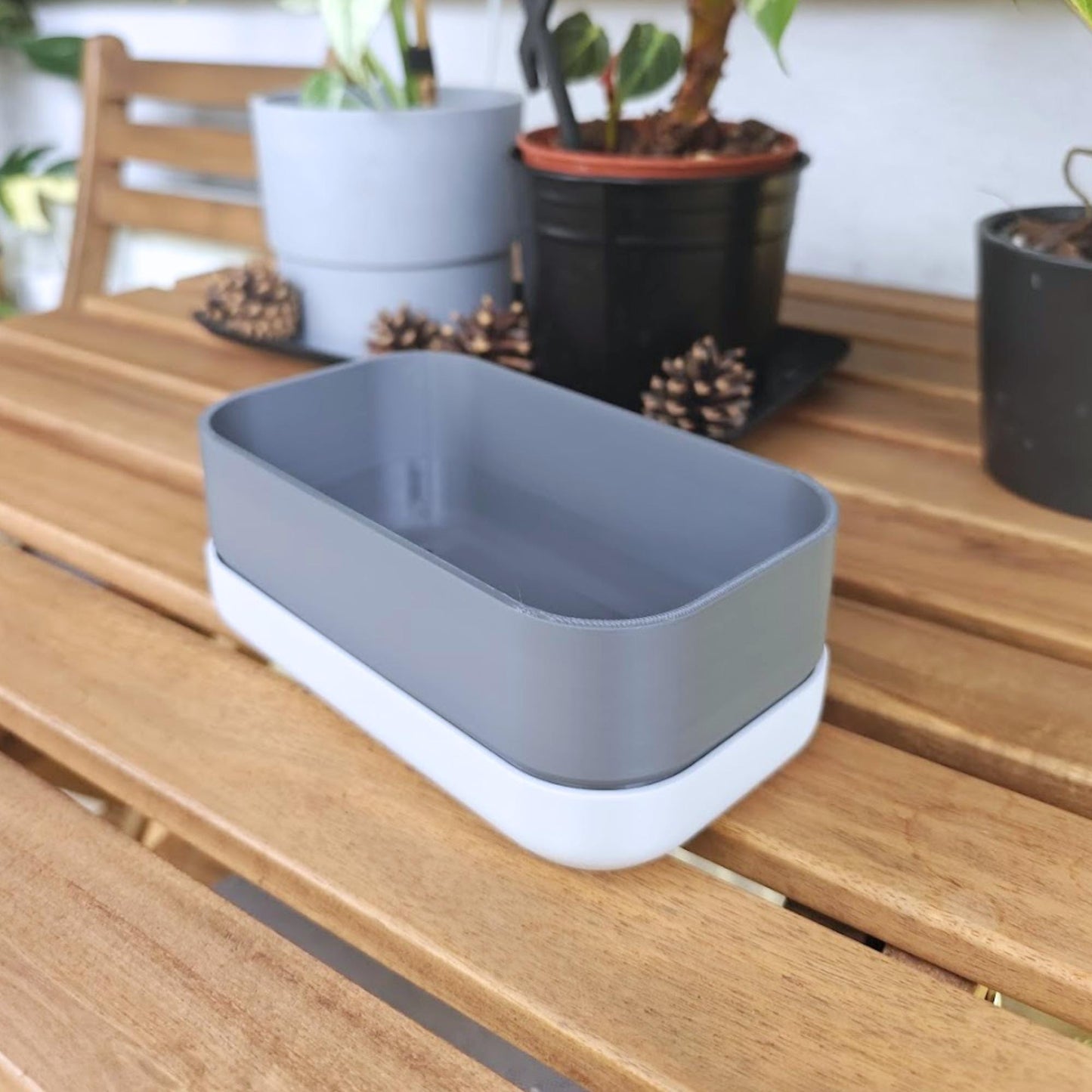 Low Narrow Pot for Succulents or Crawling Plants, Minimalistic Modern Rectangular Pot for Small Shelves, 3d print