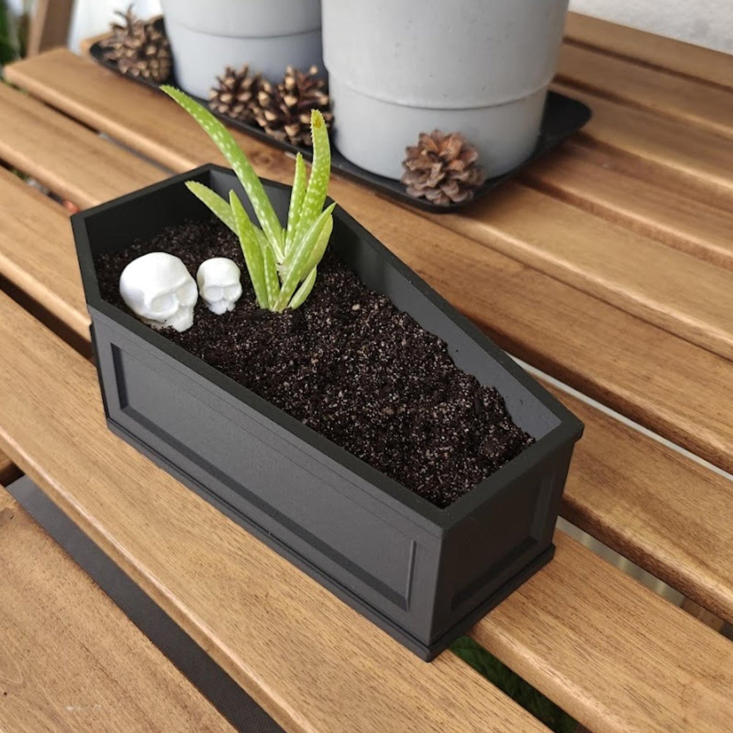 Coffin Planter with Drainage & Tray, Gothic Plant Pot, Home Decor, 3D Printed Planters, Halloween Decor