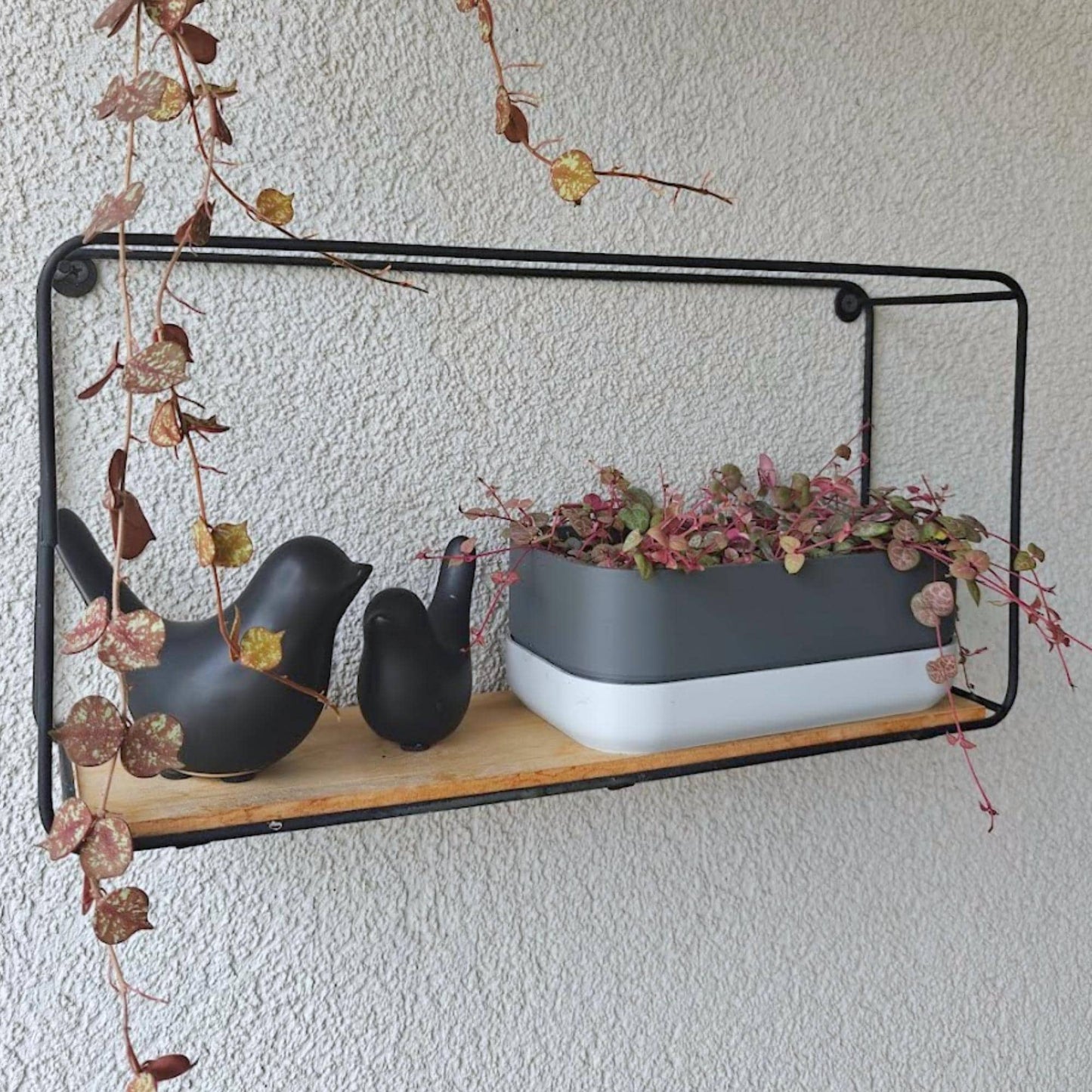 Low Narrow Pot for Succulents or Crawling Plants, Minimalistic Modern Rectangular Pot for Small Shelves, 3d print