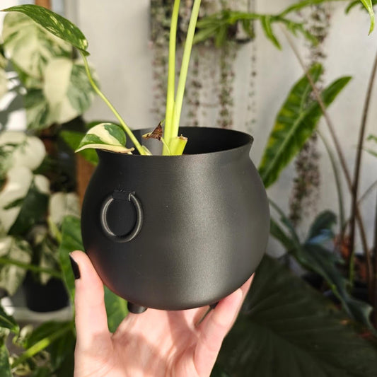 Close-up of a small-sized black cauldron planter with ring detail, held in hand with a plant inside.