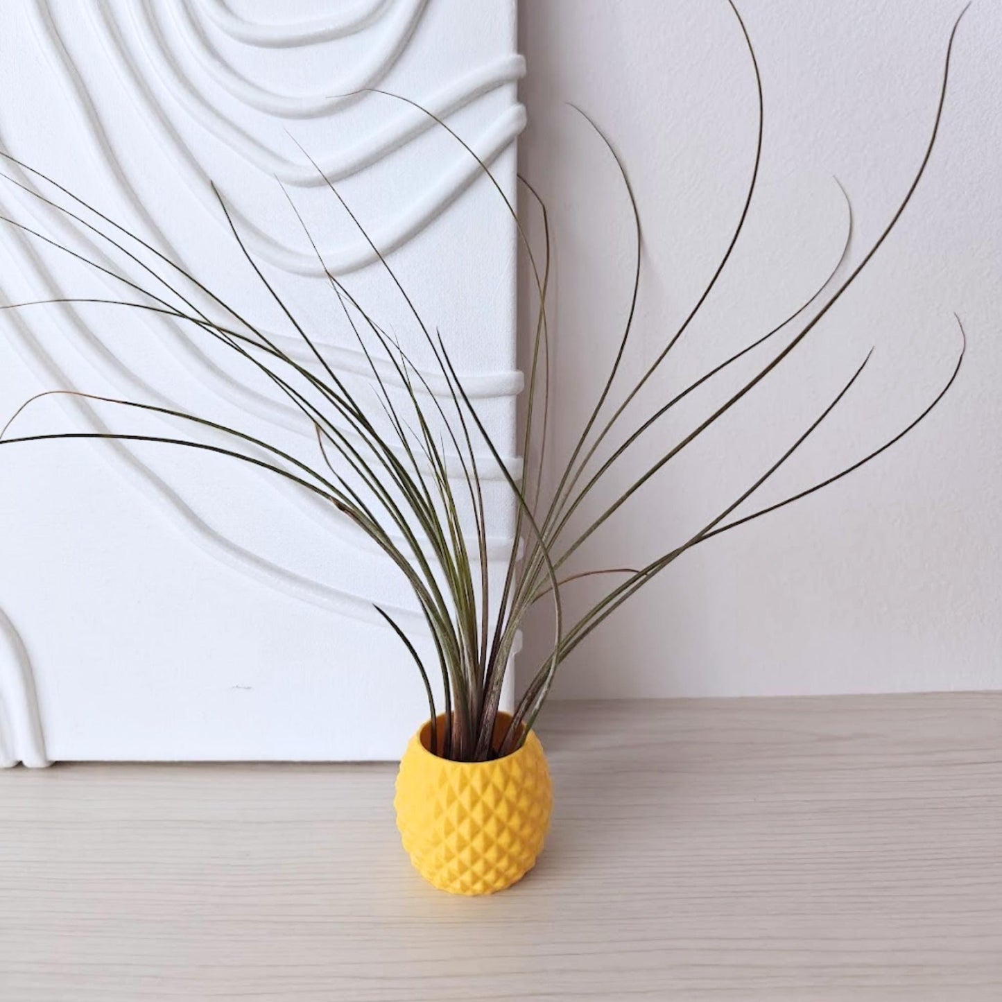 Pineapple planter with large air plant, decorative styling against abstract wall background