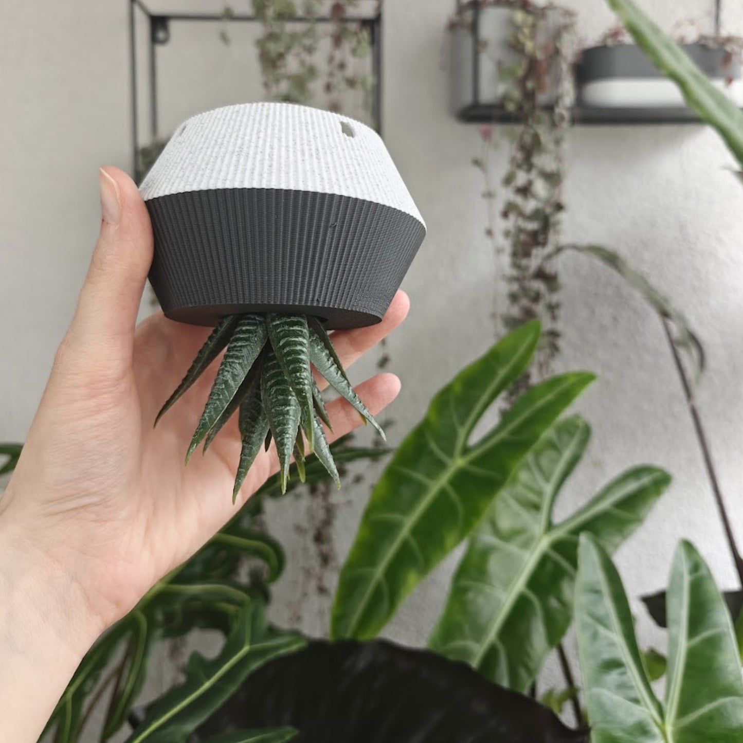 Inverted Plant Pot, Upside Down UFO Planter