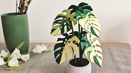 Plant-Shaped Coaster Sets
