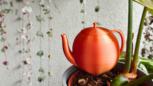 Easier Plant Watering with Our Slow-Release Water Containers