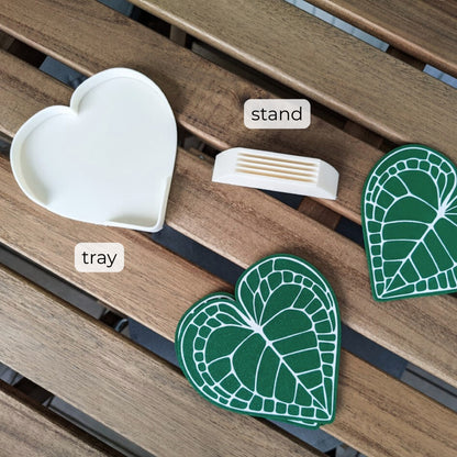 Set podmetača Anthurium Clarinervium 
