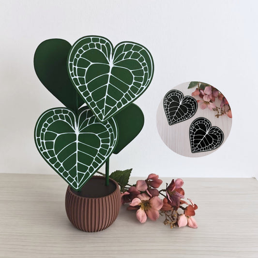 Anthurium Clarinervium Coaster Set