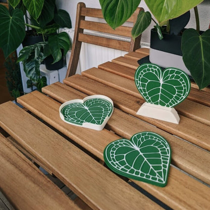 Set podmetača Anthurium Clarinervium 
