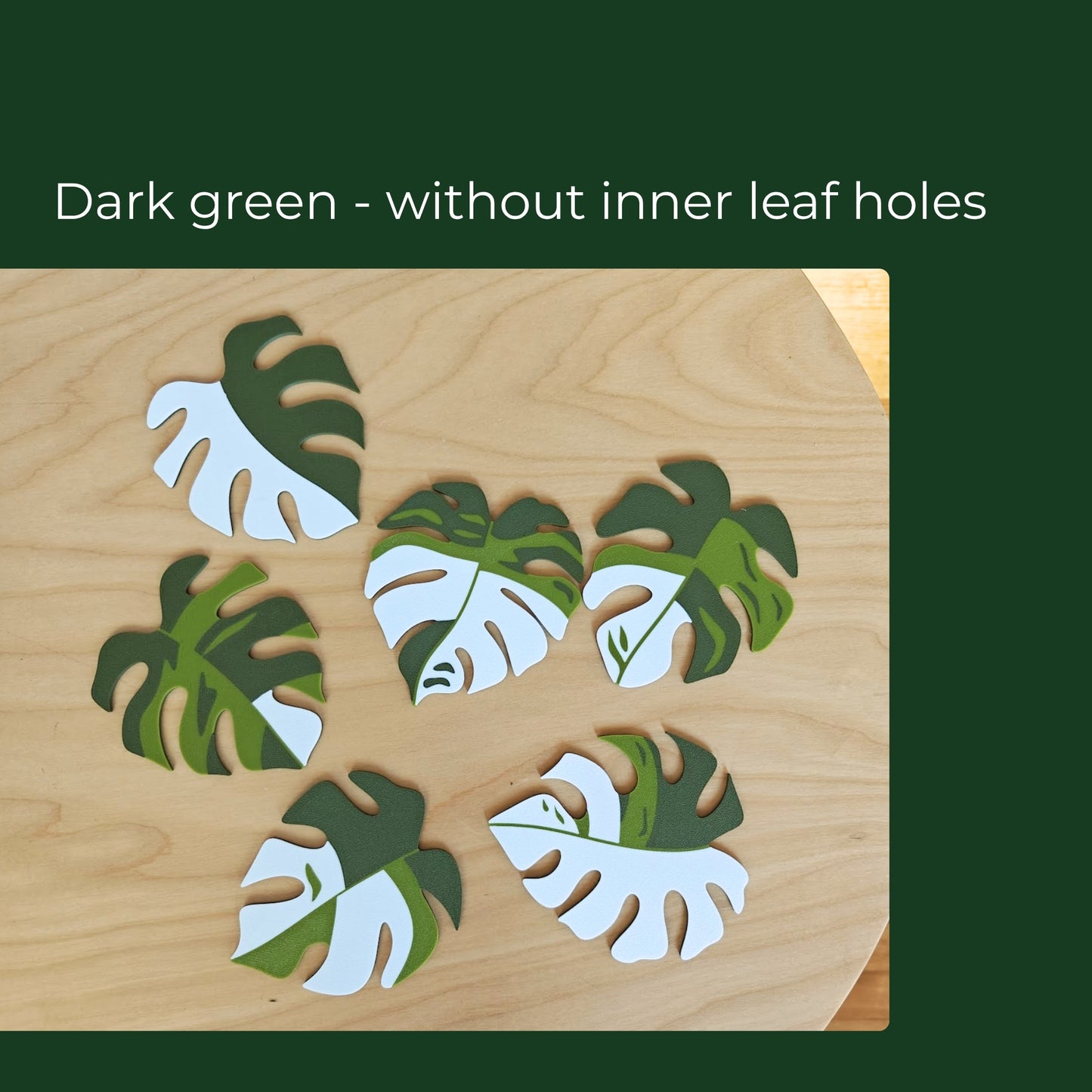 Monstera Leaf Coaster Set with Holder