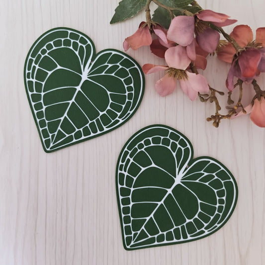 Anthurium Clarinervium Coaster Set