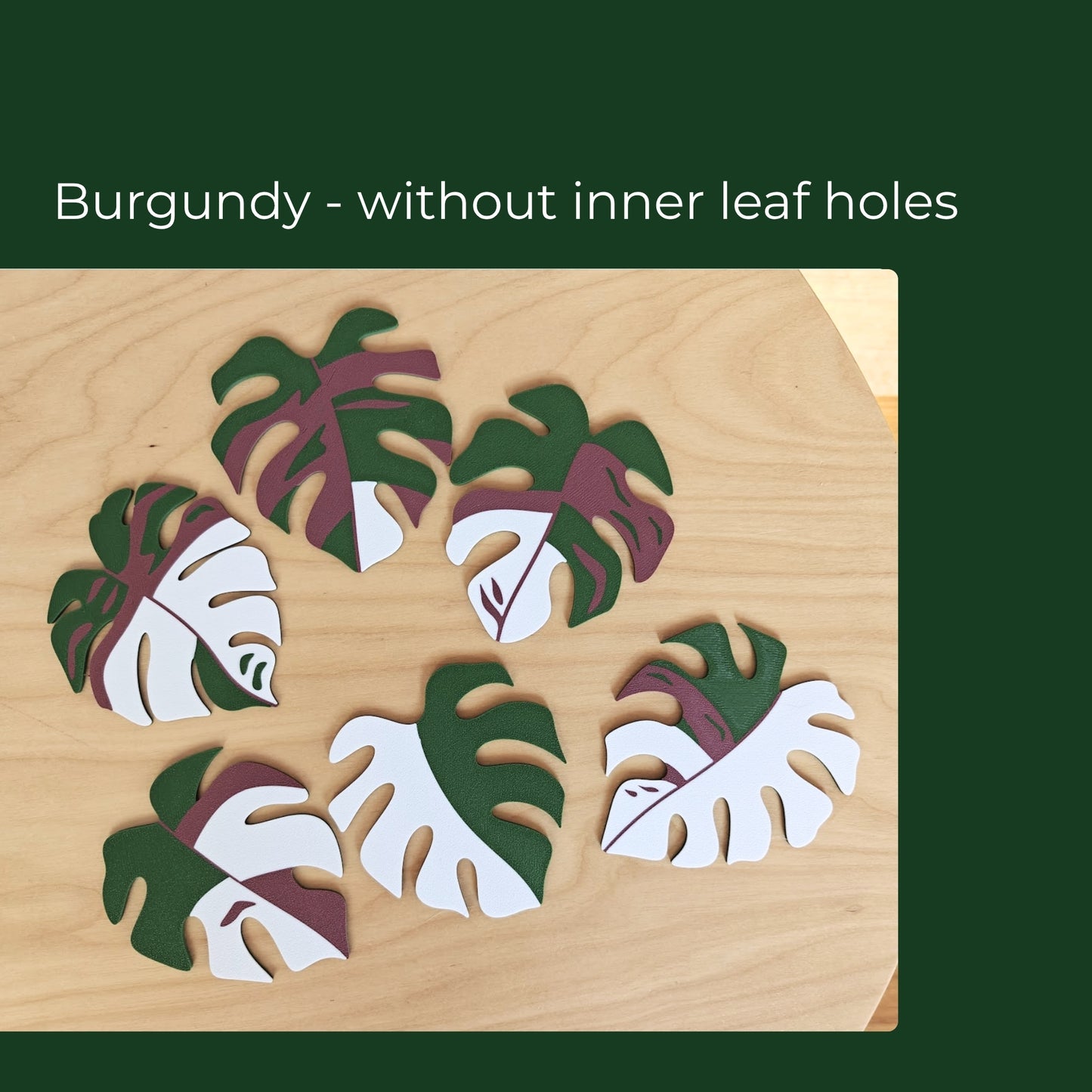 Monstera Leaf Coaster Set with Holder