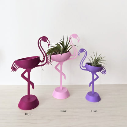 Flamingo stalak za zračne biljke tillandsia