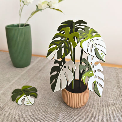 Monstera Coaster Set with Leaf Holes