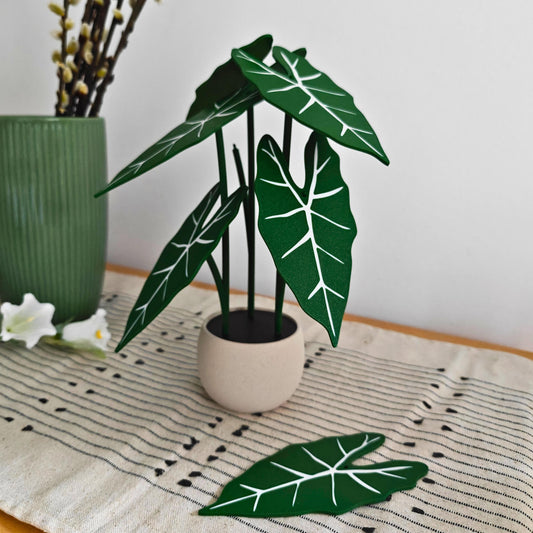 Alocasia Frydek Coaster Set