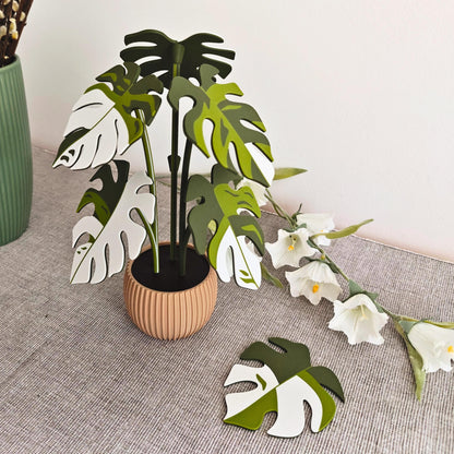 Monstera Coaster Set