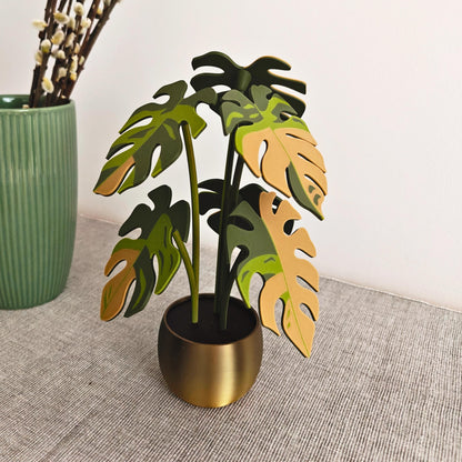 Monstera Coaster Set