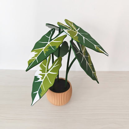 Alocasia Frydek Coaster Set