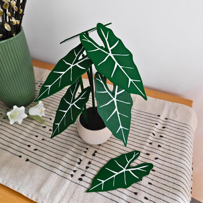 Alocasia Frydek Coaster Set