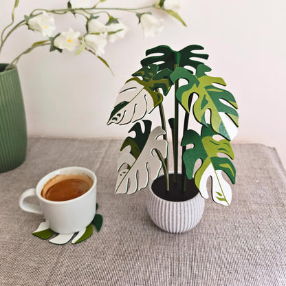 Monstera Coaster Set